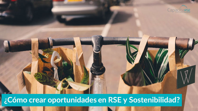 ¿Cómo crear oportunidades en RSE y Sostenibilidad?