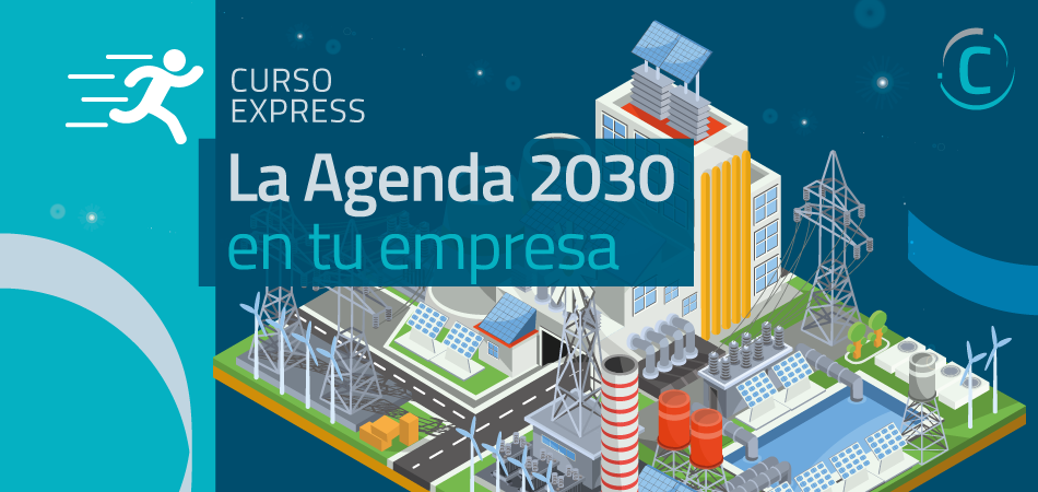 Curso Online de la Agenda 2030 en la Empresa