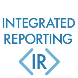 Curso Online de Reportes Integrados