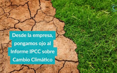 ¿Por qué importa el más reciente Reporte sobre Cambio Climático en nuestras empresas?