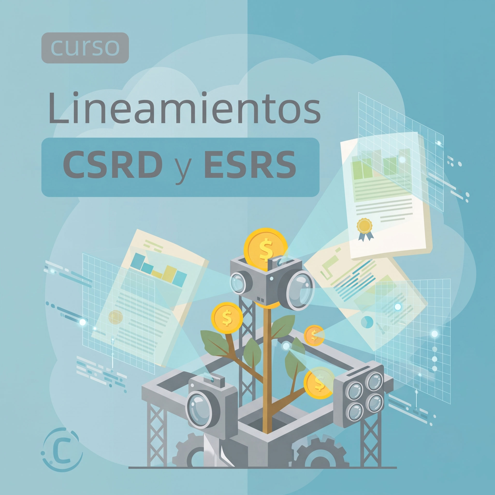Curso Online de Lineamientos CSRD y ESRS para Reportes