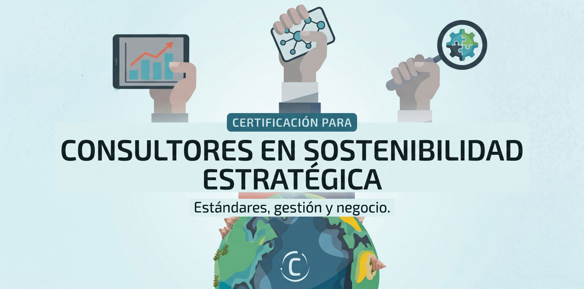 Certificación para la Consultoría en Sostenibilidad