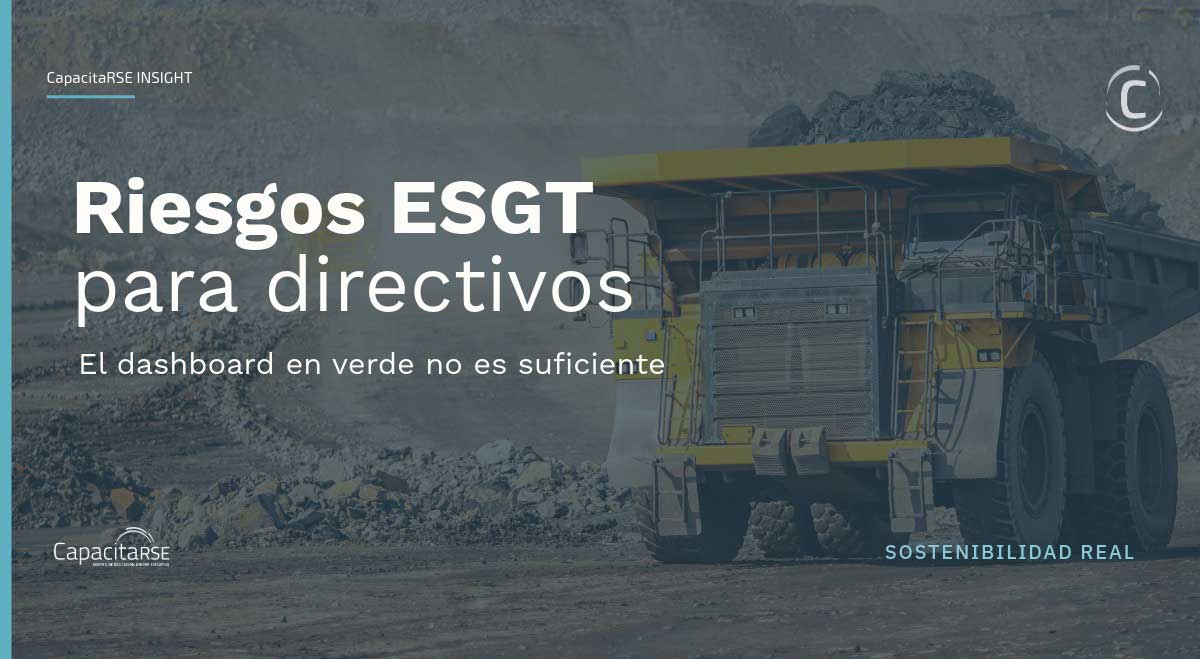 Mapa de riesgos ESGT para directivos: caso Los Pelambres
